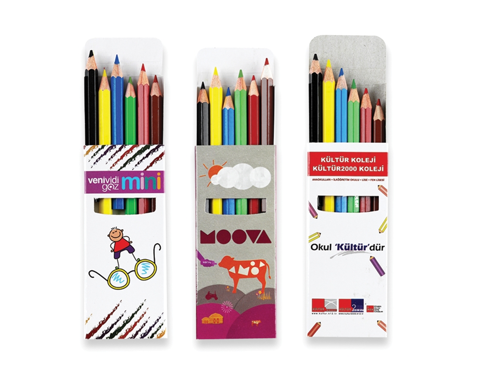 6 Lı Boyama Kalem Seti